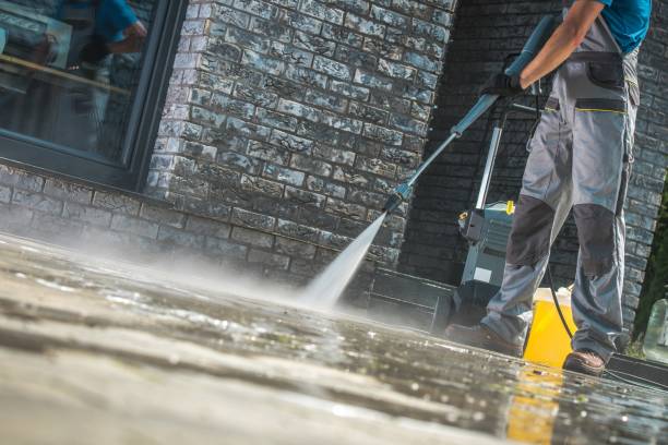 Best Paint Preparation  in Brazoria, TX