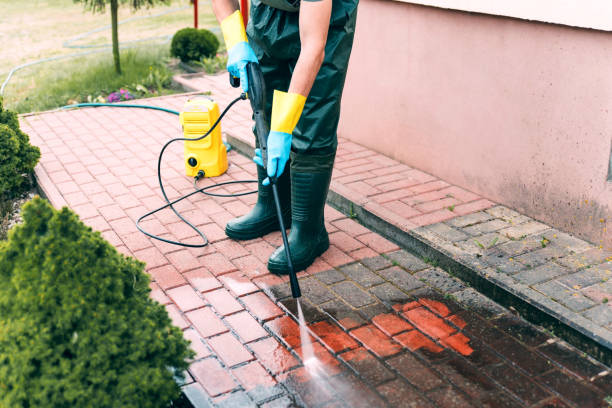 Best Factory Floor Cleaning  in Brazoria, TX